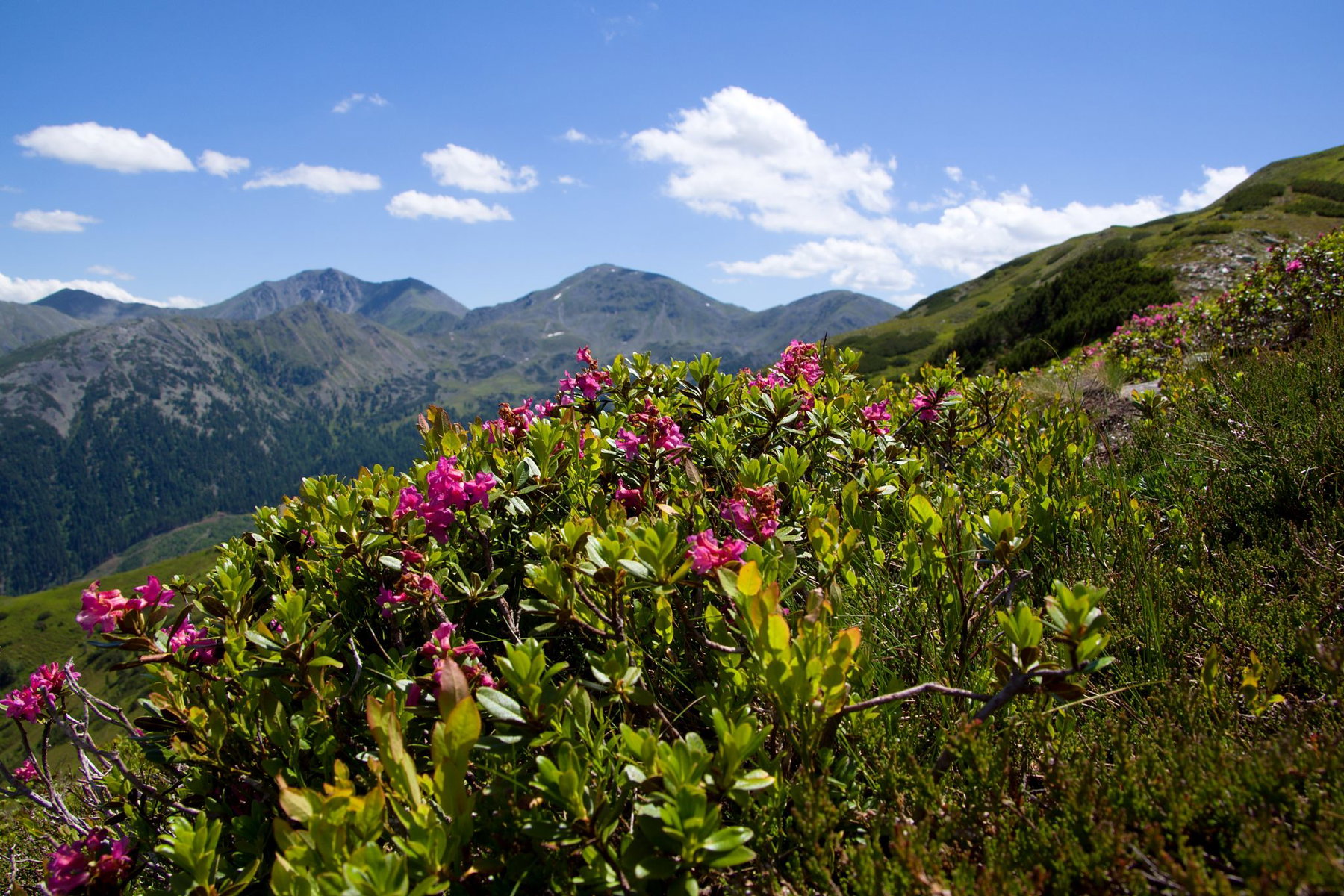 Mutterseelenallein am Feistererhorn