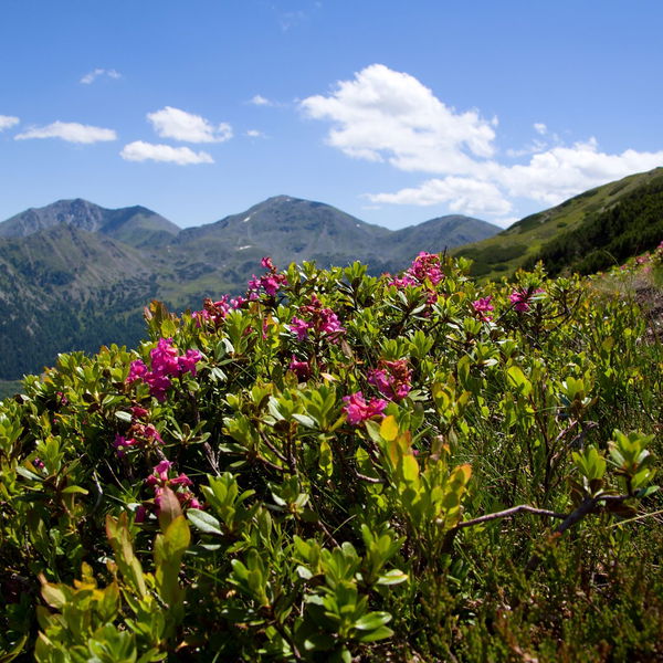 Mutterseelenallein am Feistererhorn