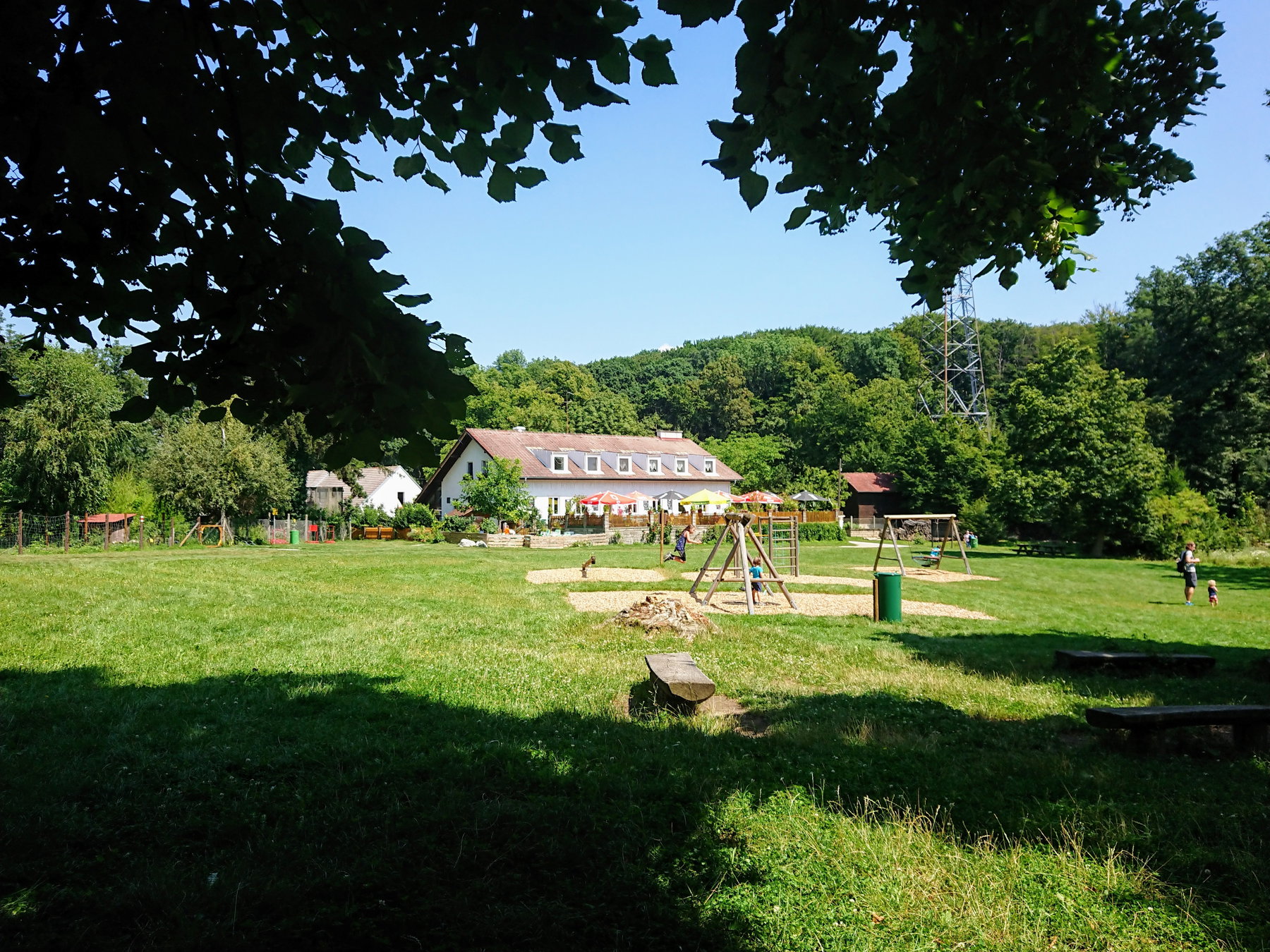 Auf der Jägerwiese. Foto Sigrun Heppner