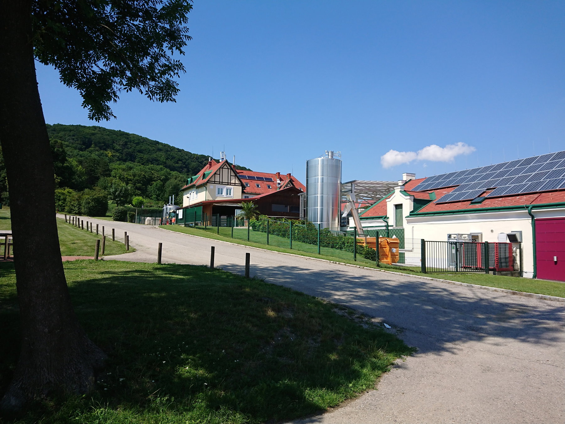 Wirtschaftsgebäude des Weinguts Cobenzl. Foto Sigrun Heppner