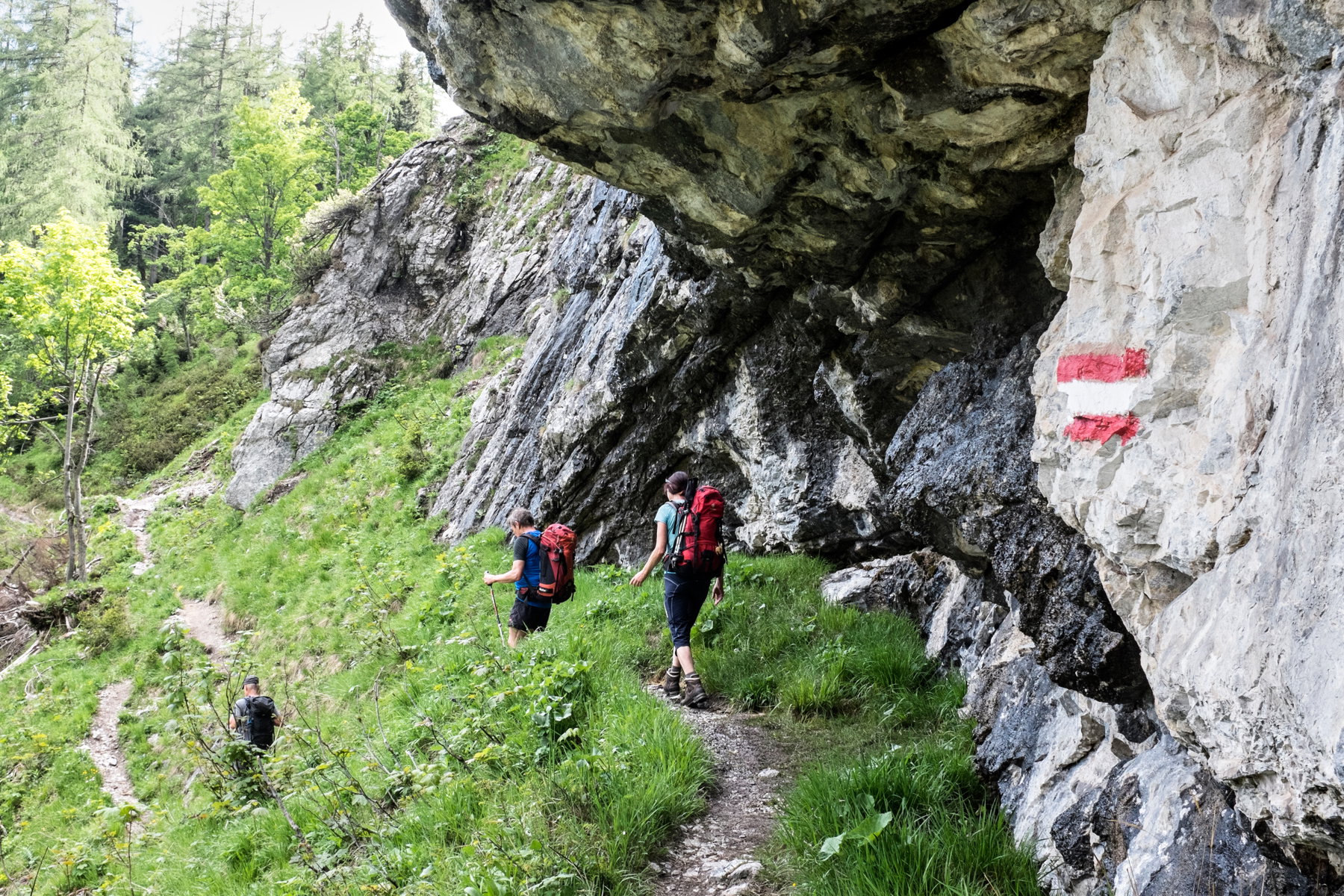 Weg zur Sonnschienalm. Foto: Birgit Reiter