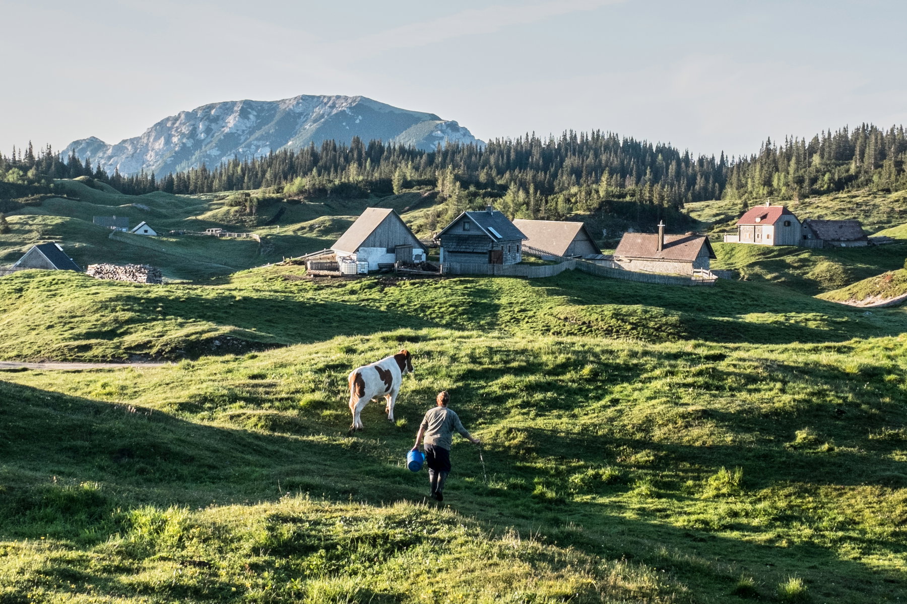Sonnschienalm in der Früh. Foto: Birgit Reiter