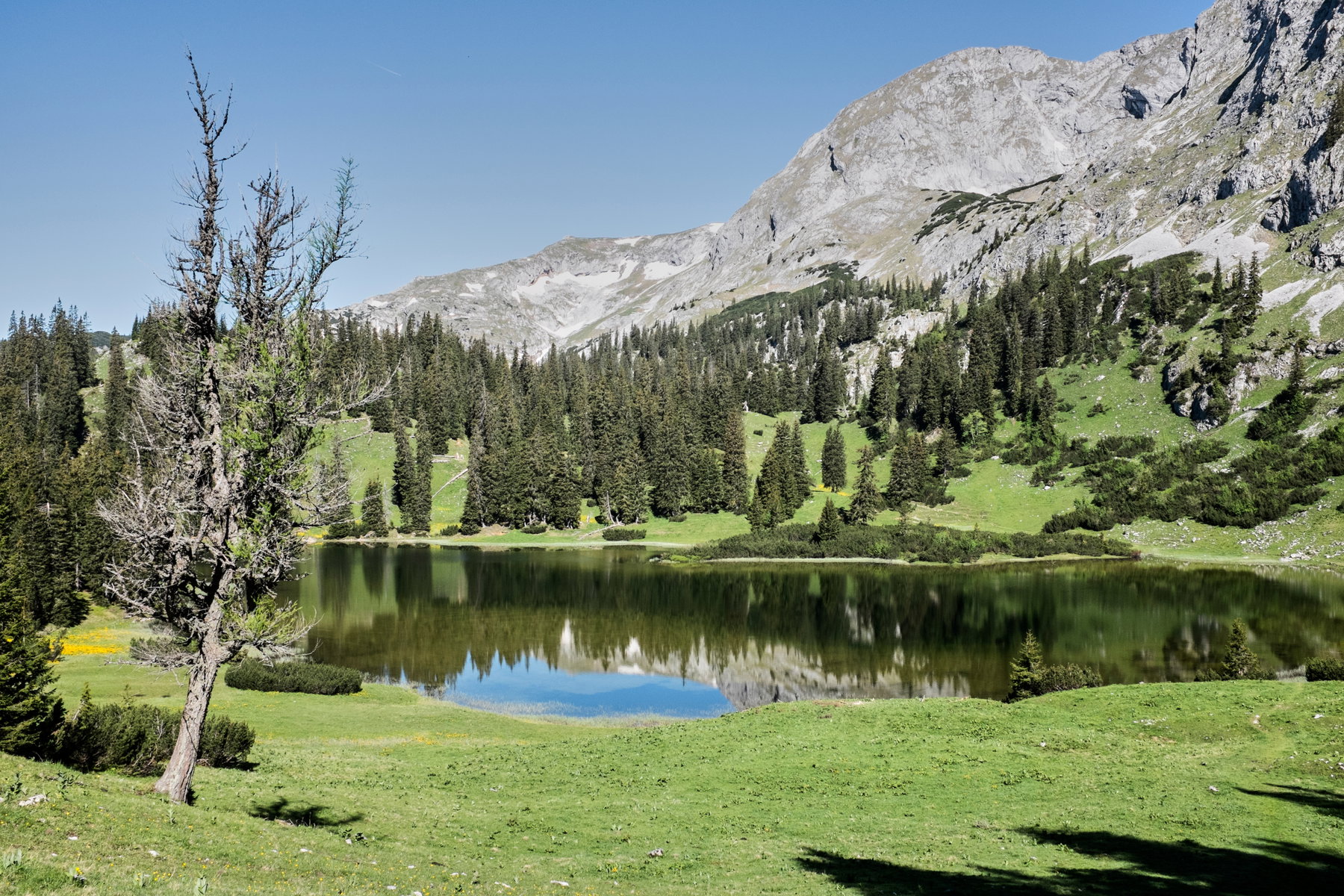 Sackwiesensee. Foto: Birgit Reiter