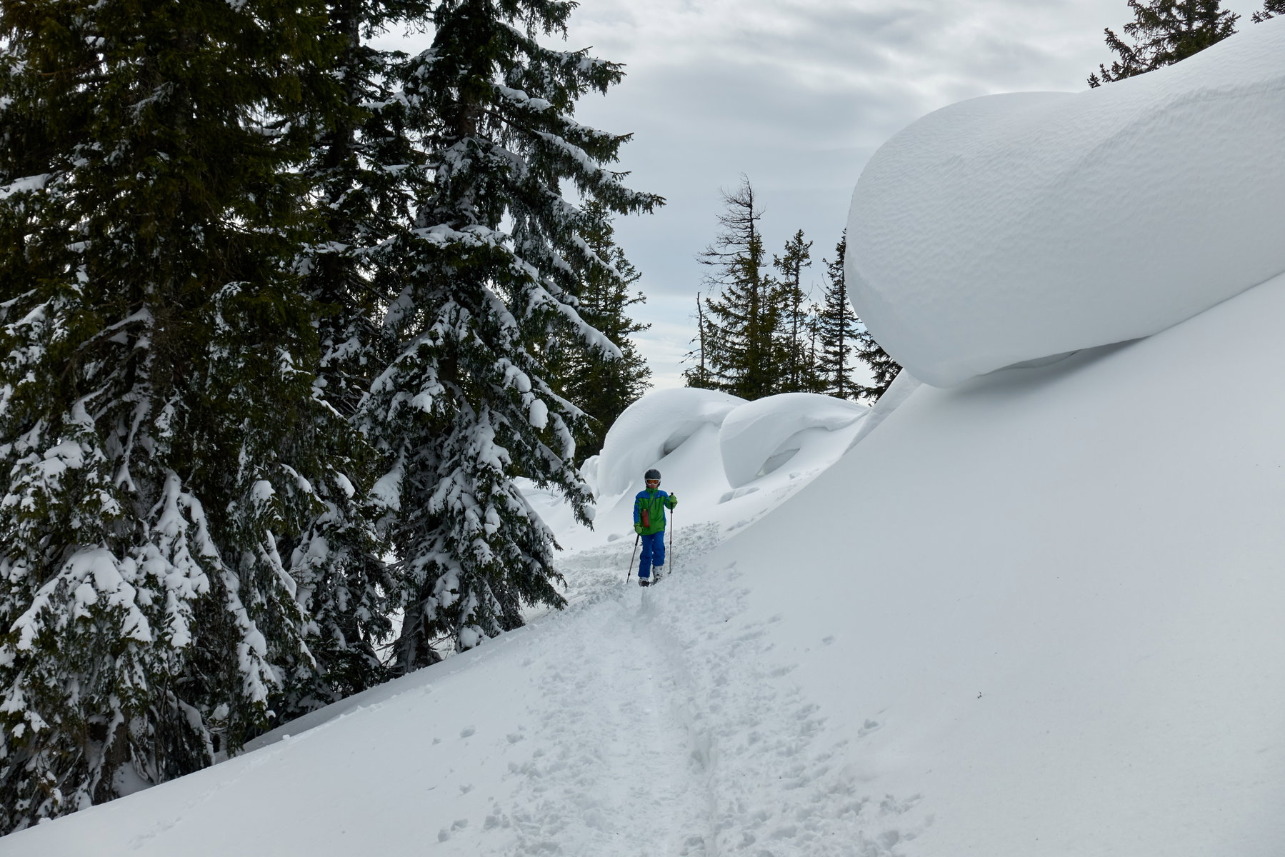 Schneewechten