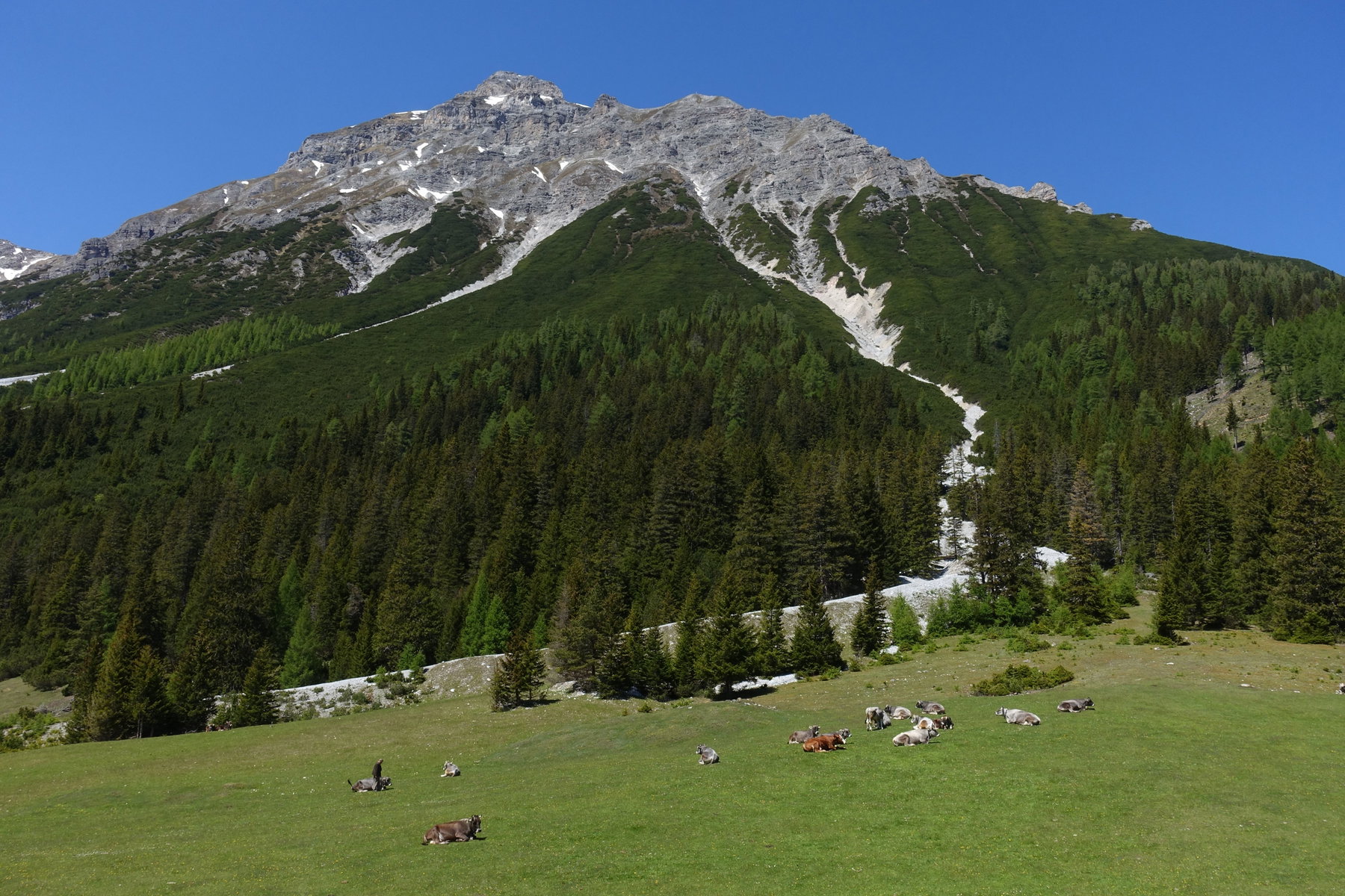 Auf der Ochsenalm. Foto: Peter Backé