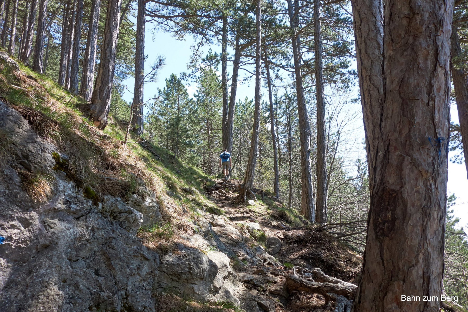 Hohe Wand: Grafenbergweg