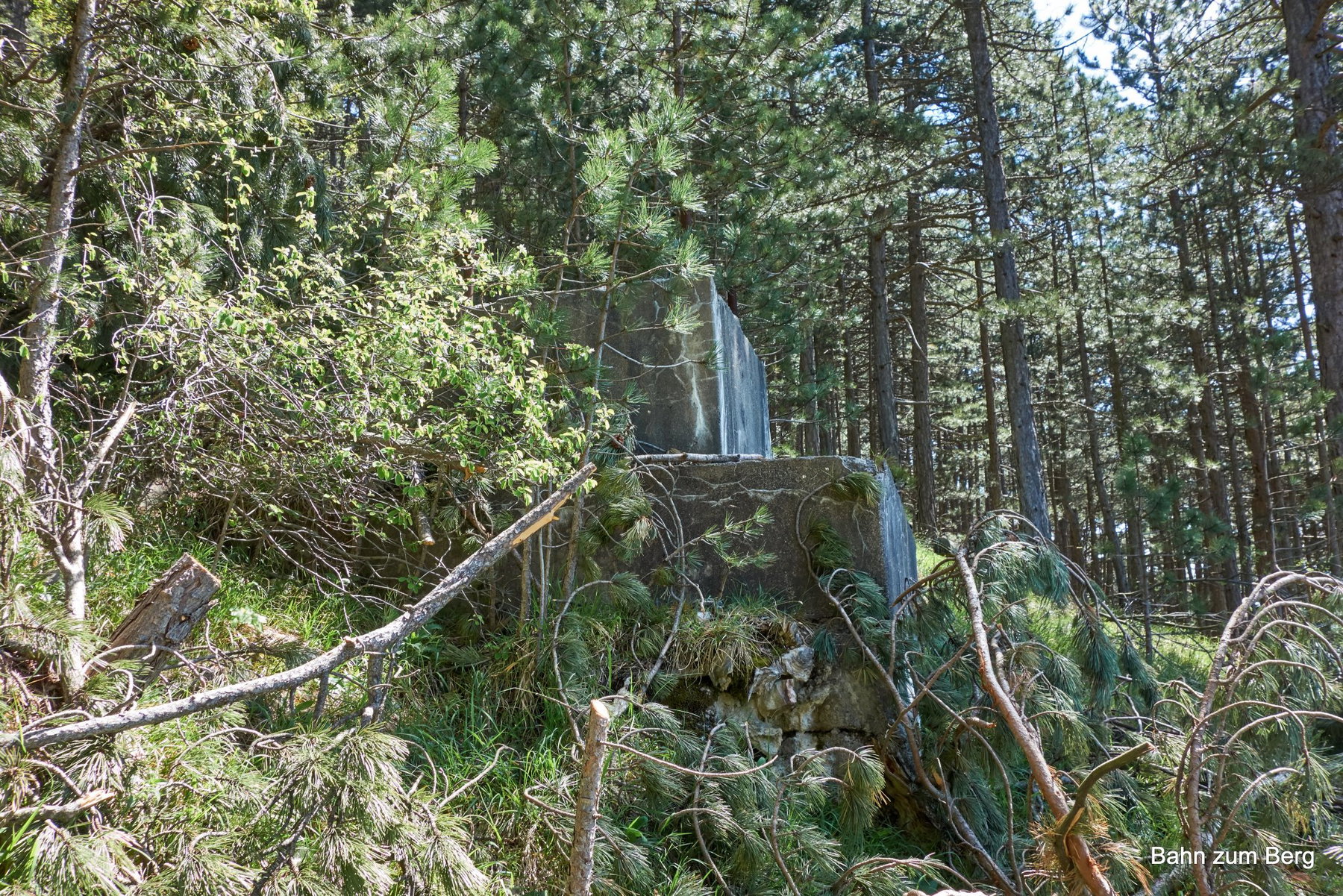 Betonsockel des alten Sessellifts, der auf den Plackles geführt hat.