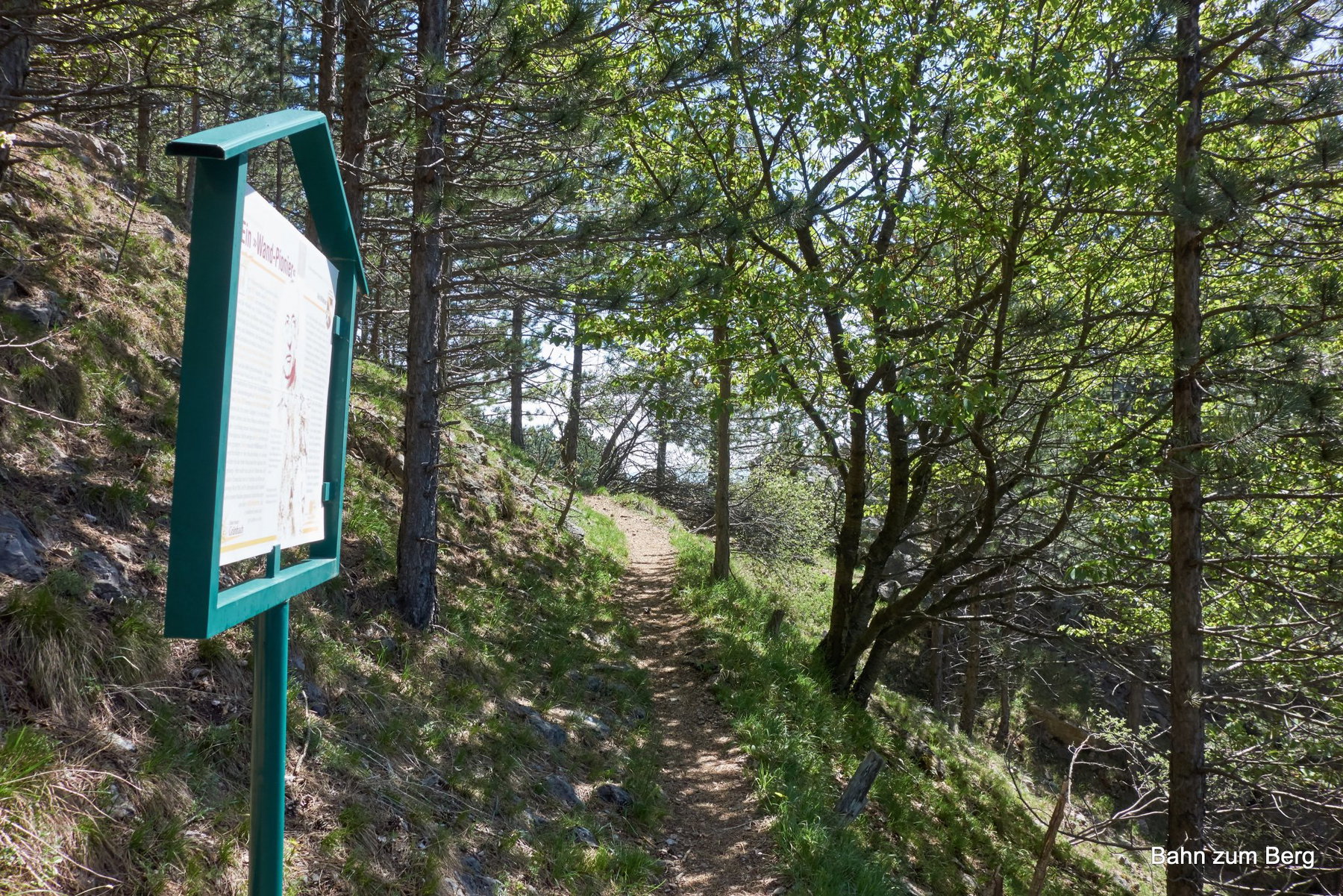 Schautafel, hinten Grafenbergbank