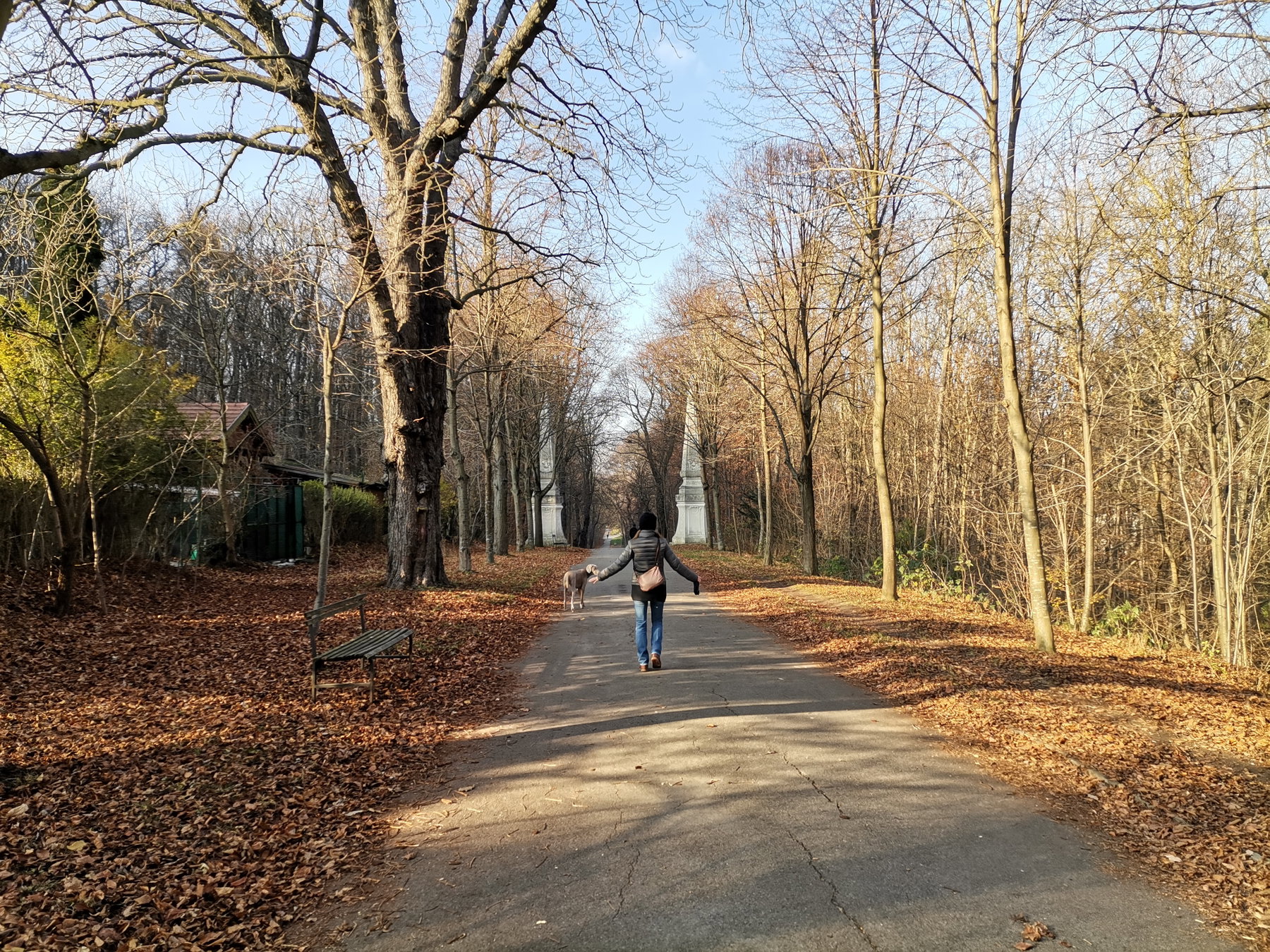 Stadtwanderweg 3 Neuwaldegg