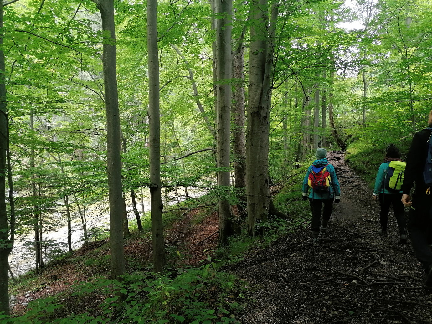 Sommerlich ist es nicht gerade, aber zumindest grün... Foto: Sarah Pallauf