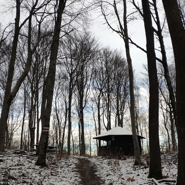 Am Wienerwald Verbindungsweg – Teil 2
