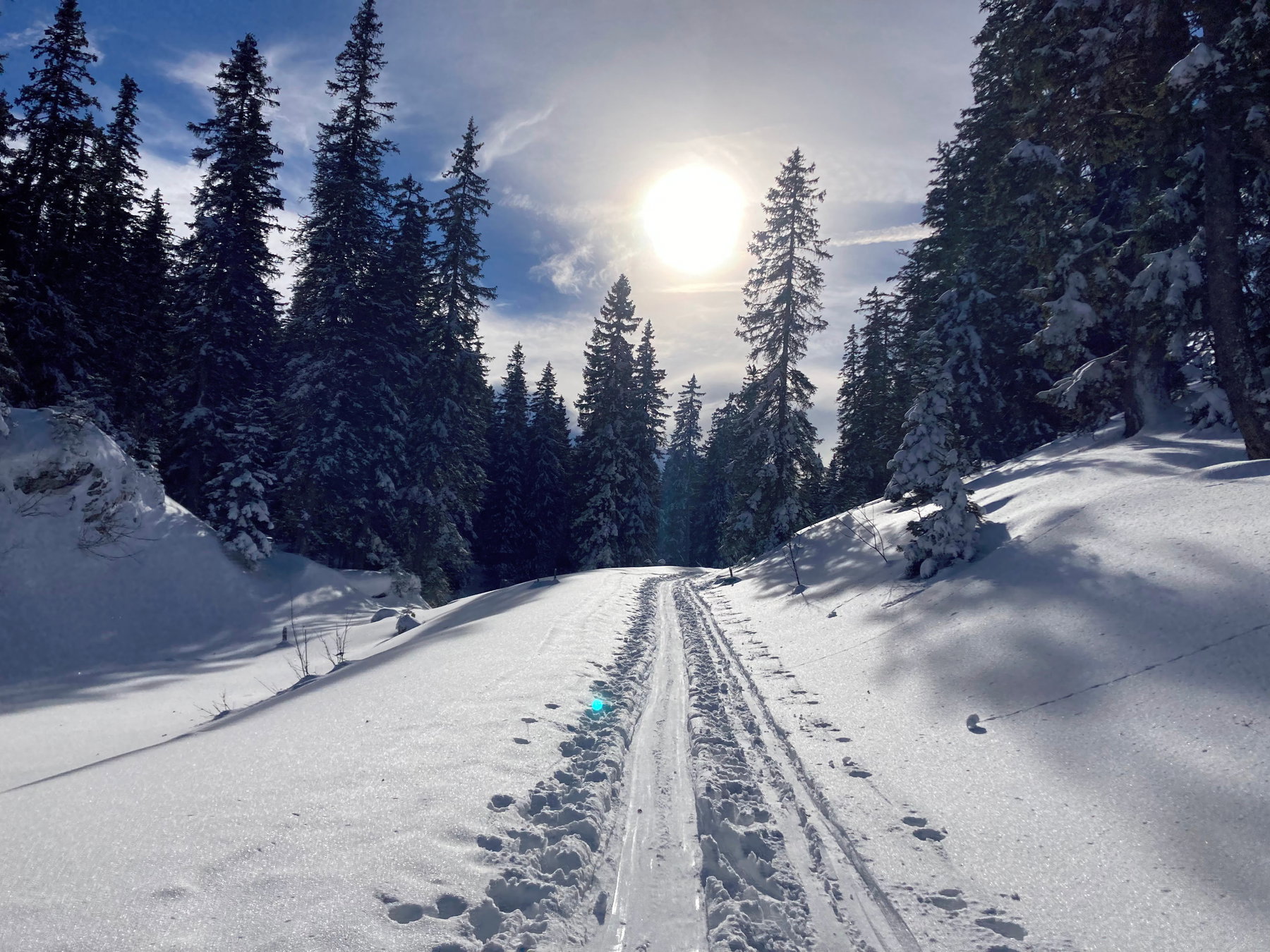 Sturmsicher auf den Kuhschneeberg