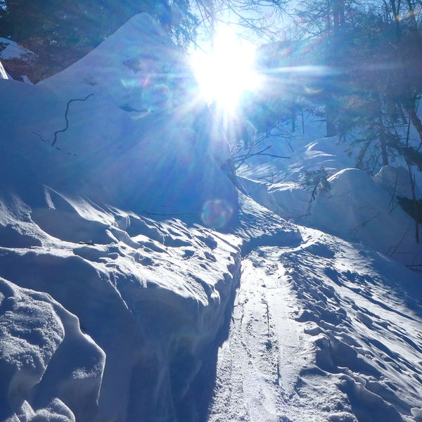Valentinstags-Skitour