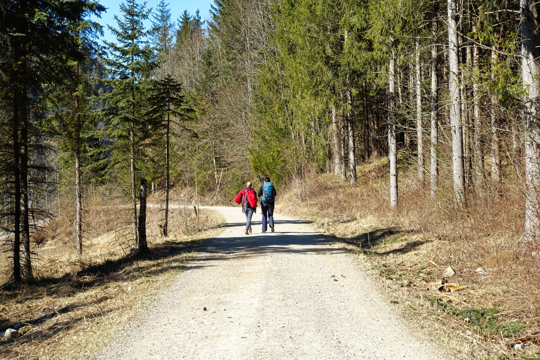 Kurz vor Erlaufboden. Foto: Martin Heppner