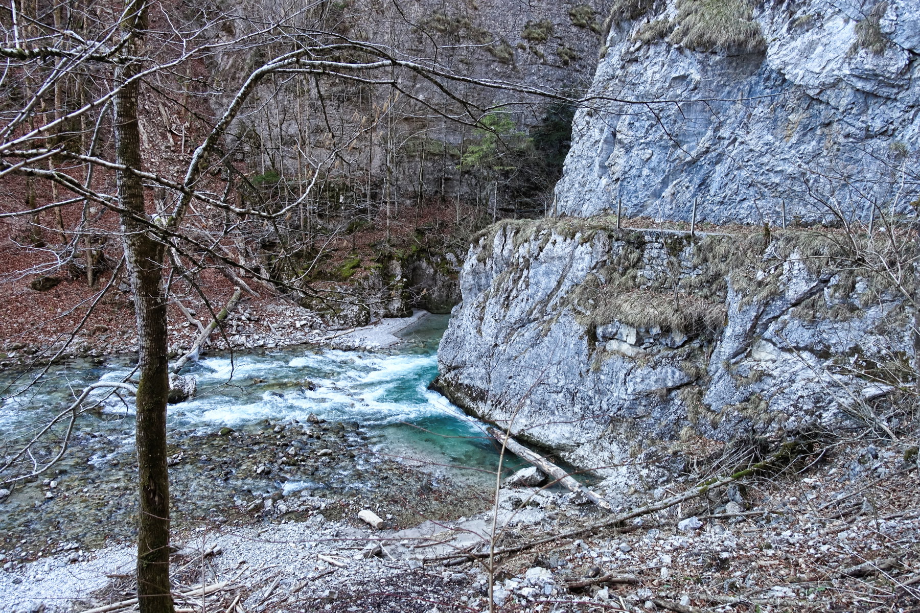 Beim Toreck wird die Erlauf in eine enge Klamm gepresst. Foto: Martin Heppner