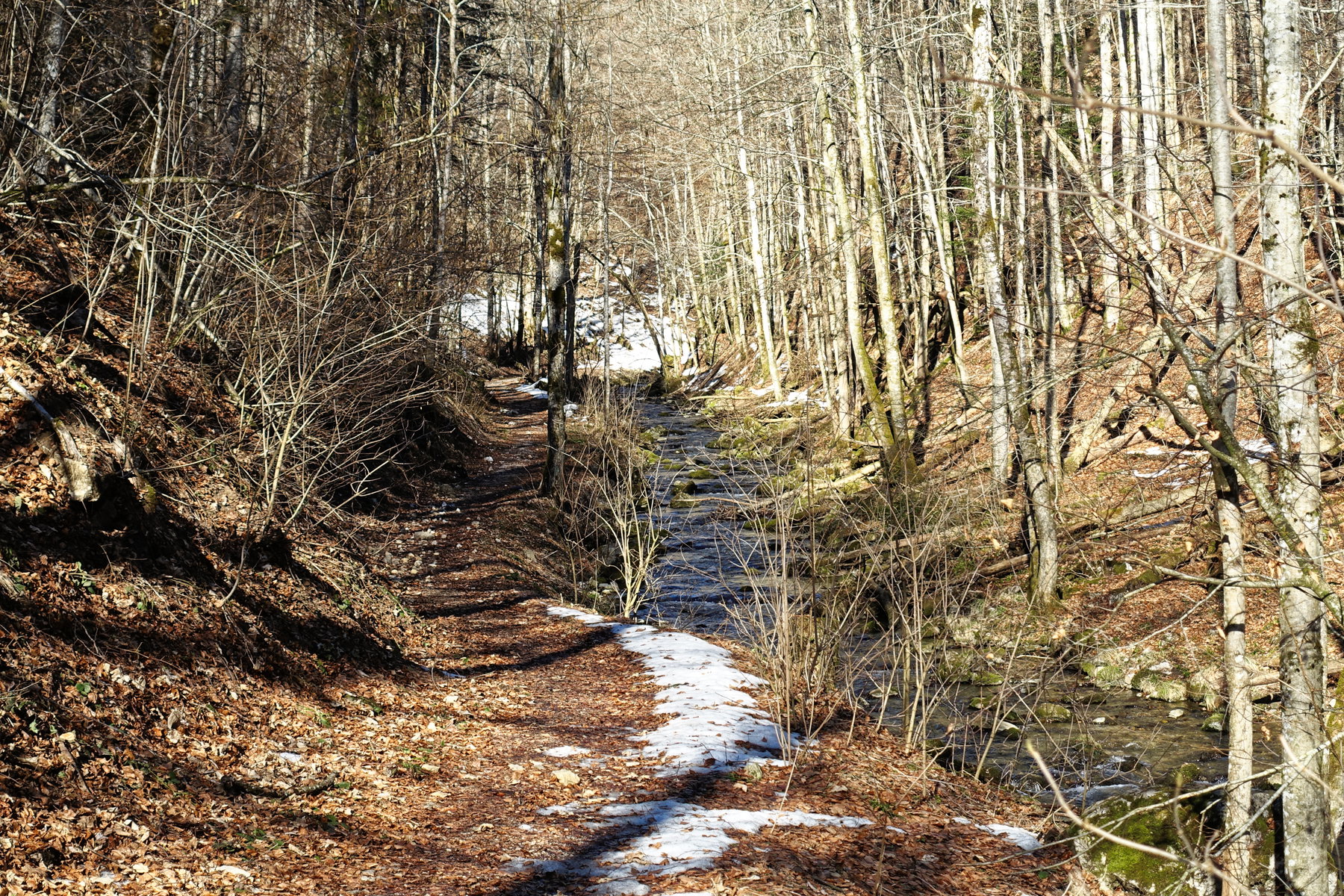 Dem Trefflingbach flußaufwärts. Foto: Martin Heppner