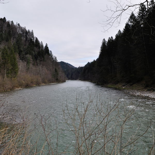 Am Ufer der Bregenzerach Richtung Bregenzerwald wandern