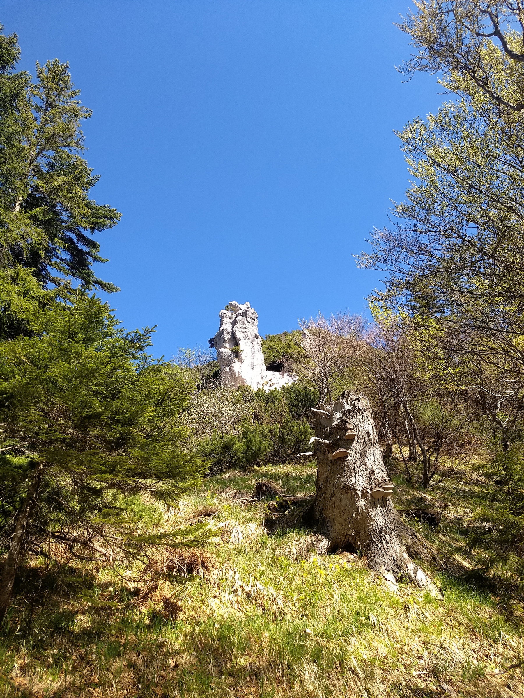 Foto: Nikolaus Vogl