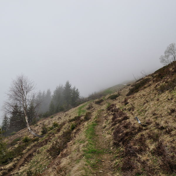 Alpwanderung am Walserkamm