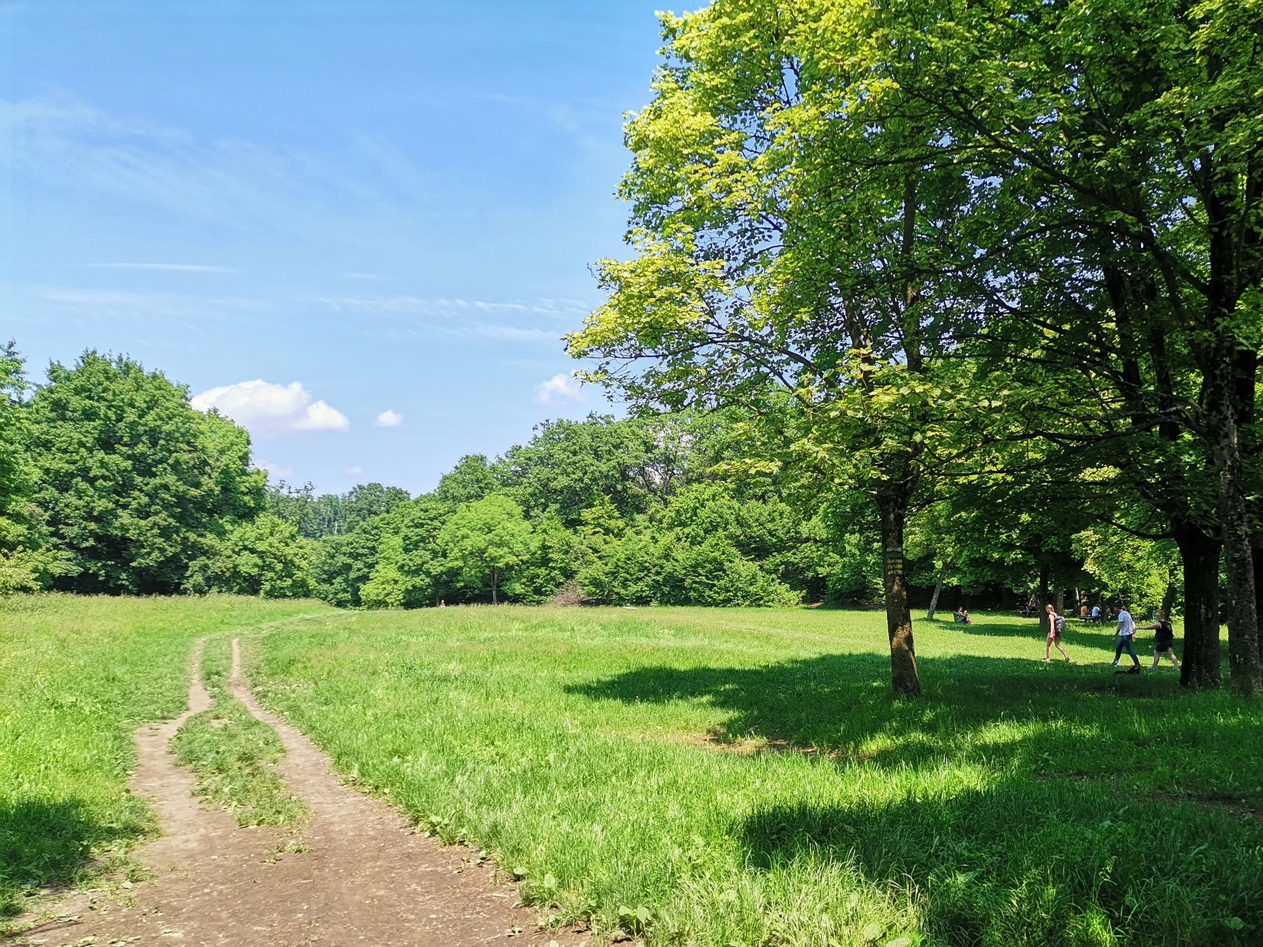 Auf der Kreuzeichenwiese. Foto Veronika Schöll