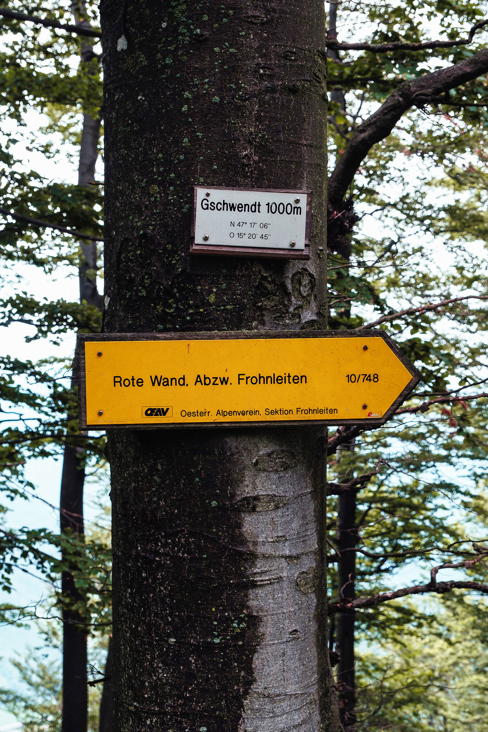 Der höchste Punkt unserer Wanderung: exakt 1000 Meter hoch. Foto: Stefan Galler