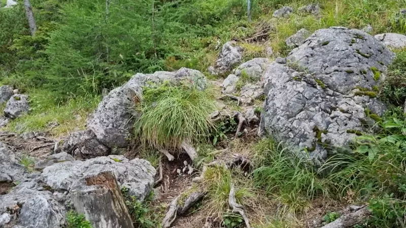 Abzweigung zur Breiten Ries. Video: Martin Heppner