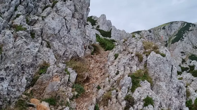 Novembergrat. Video: Martin Heppner