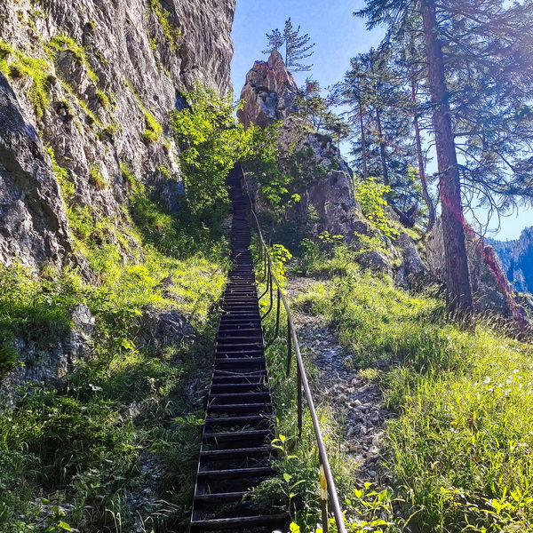 Klettersteig extrem 2.0: Haidsteig und Königschusswandsteig