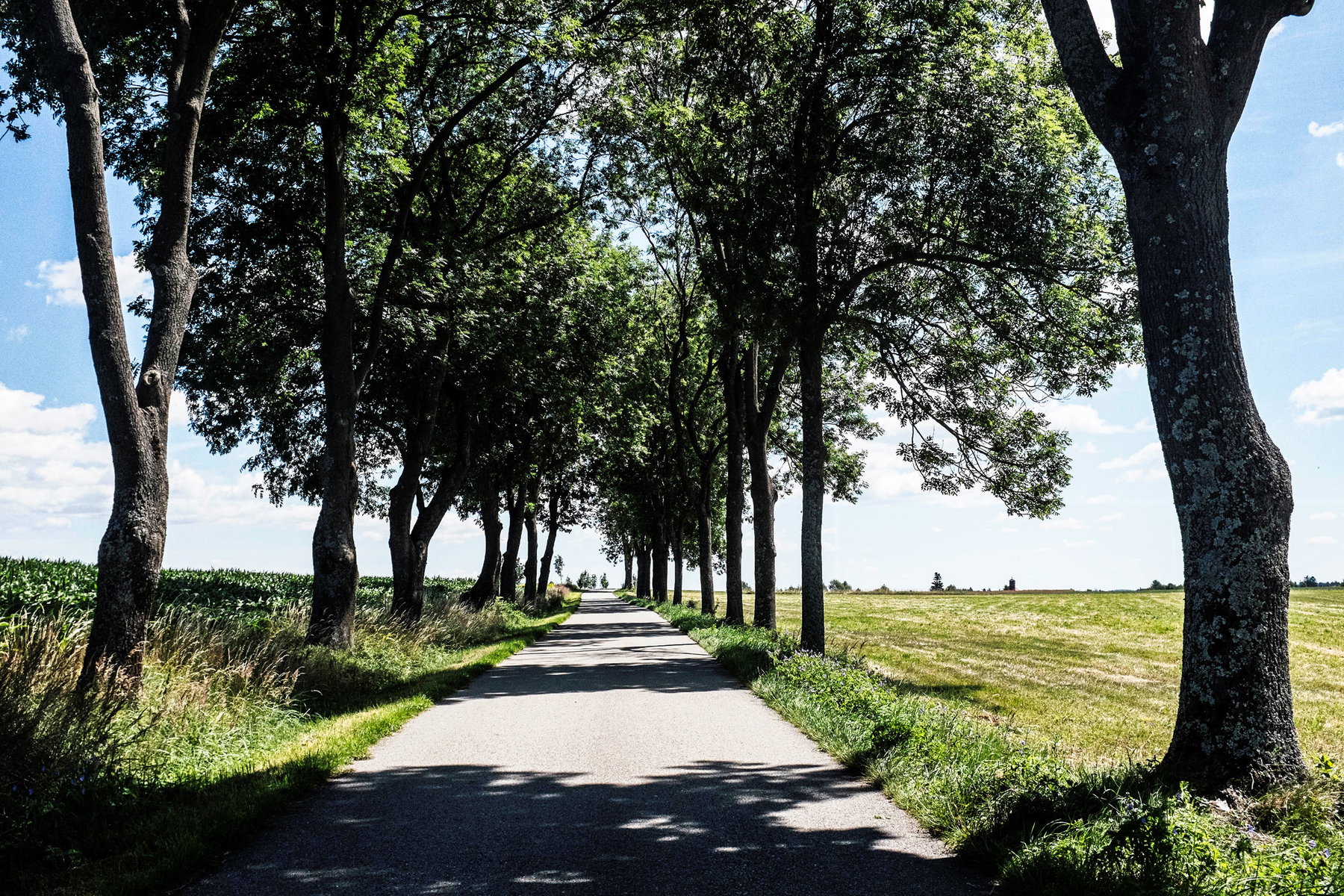 Alle zwischen Schmerbach und Schloss Wetzlas. Foto: Birgit Reiter