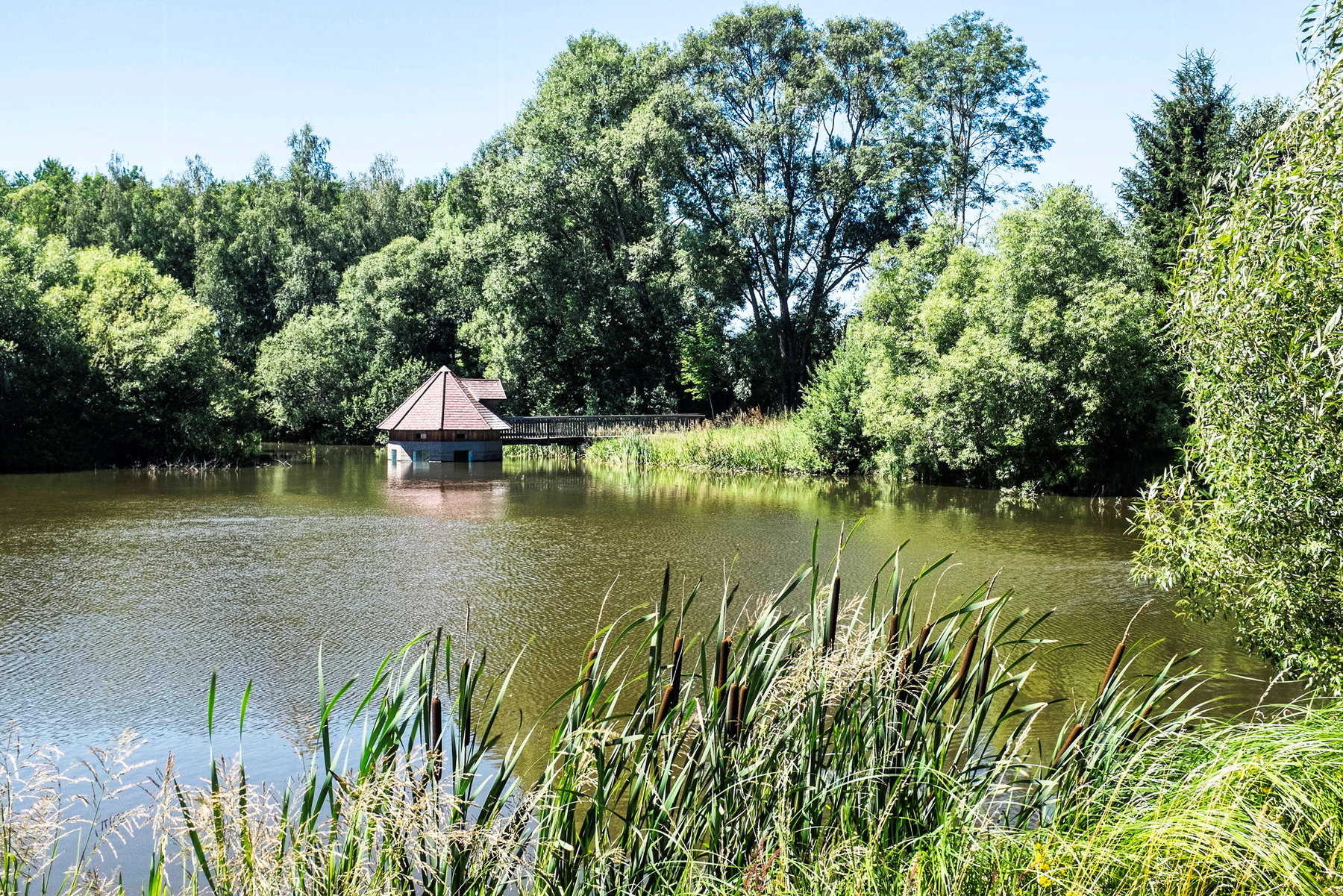 Teich bei Schloss Waldreichs. Foto: Birgit Reiter