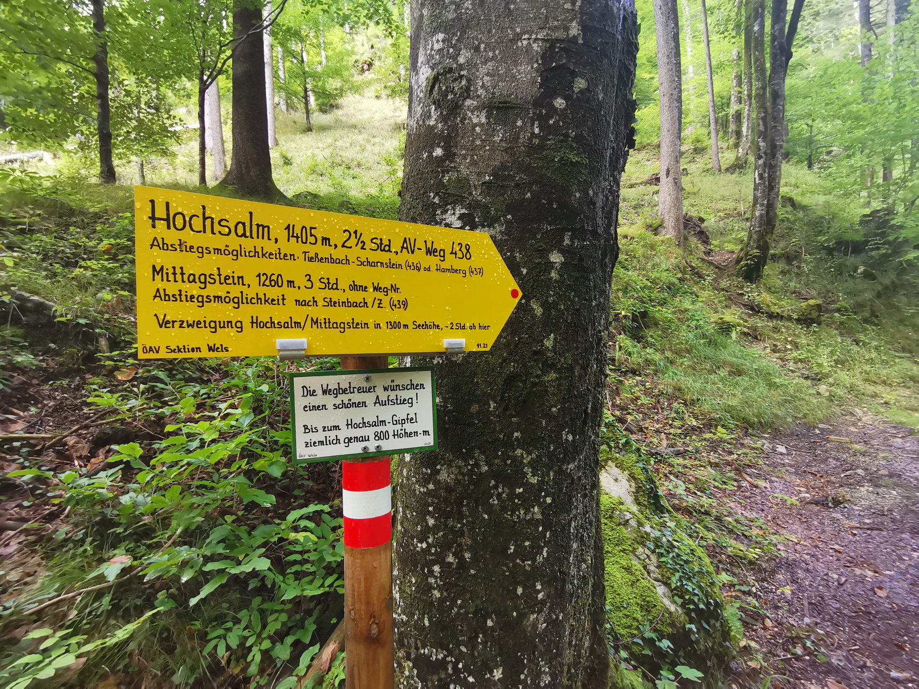 Wegweiser vom Welser Alpenverein. Foto Veronika Schöll