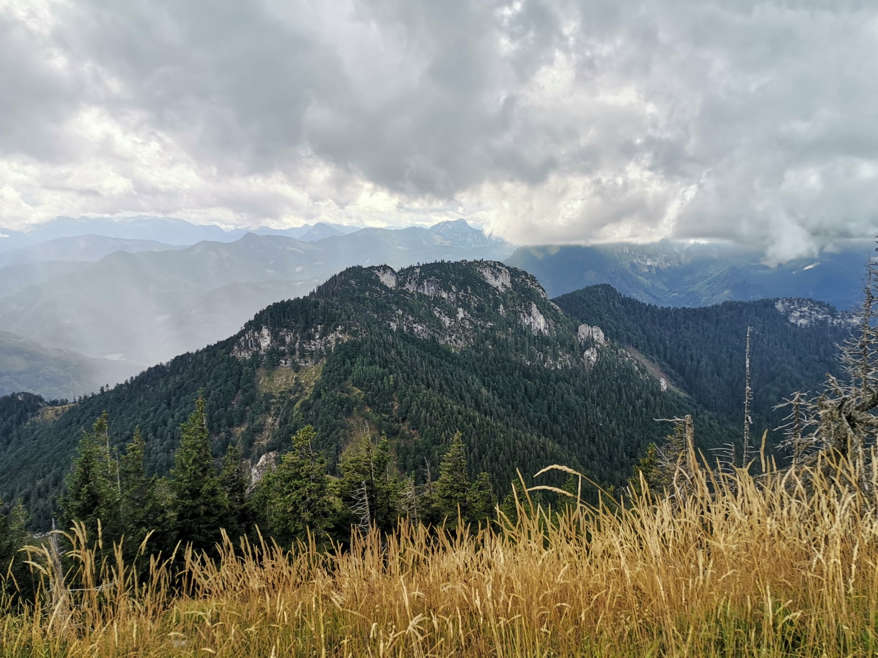 Windhagkogel, Regentropfen und Sonnenstrahlen. Foto Veronika Schöll
