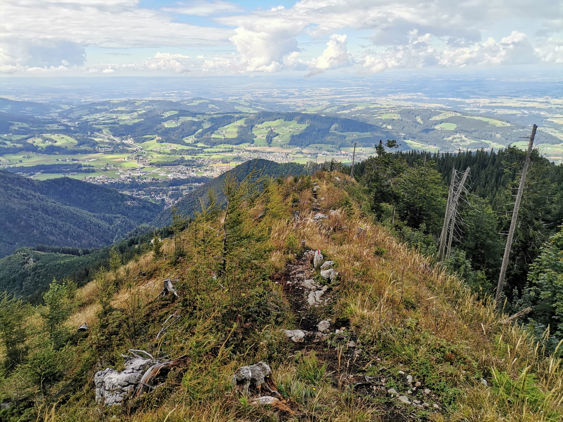 Kammweg. Foto Veronika Schöll