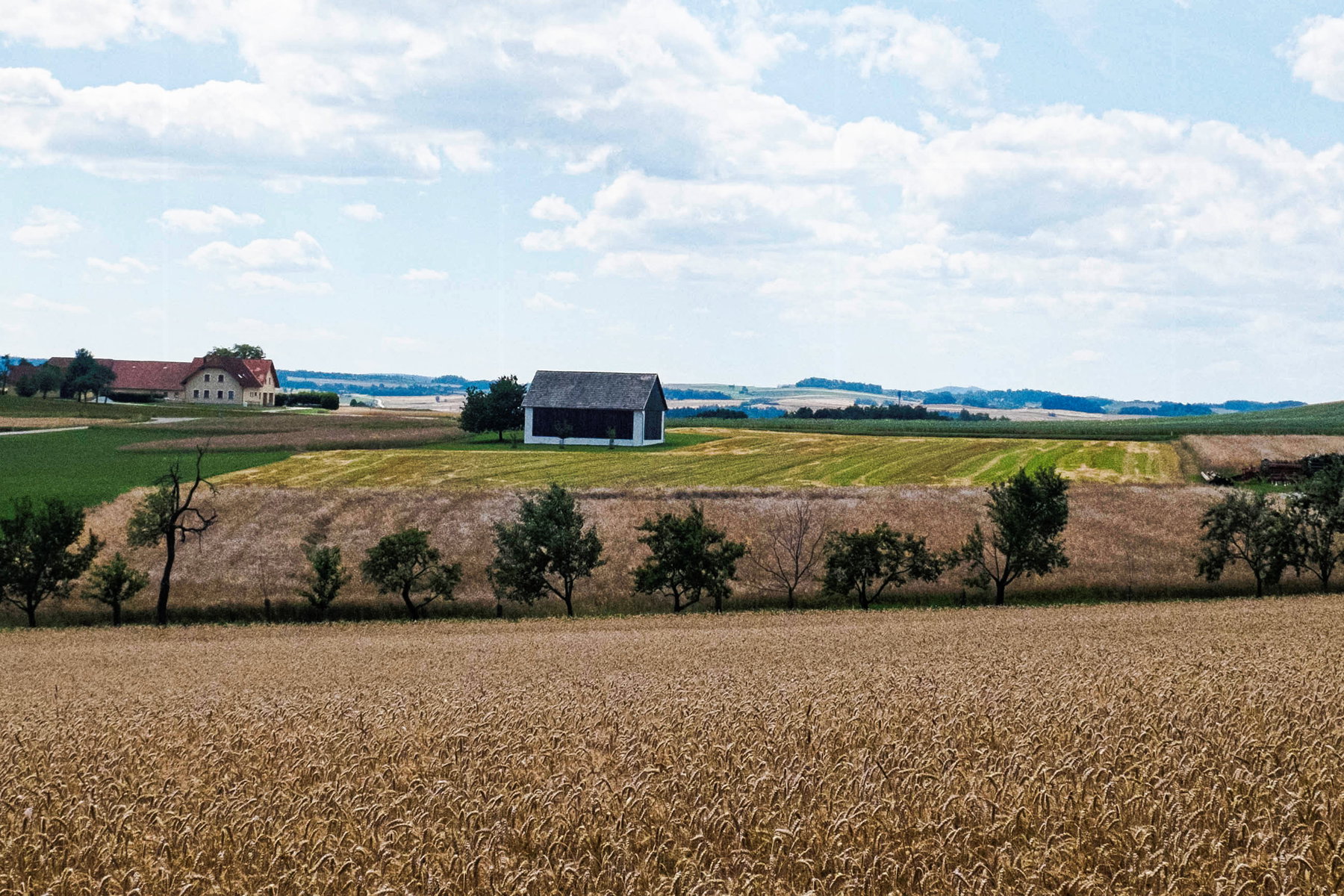 Landschaft im Waldviertel. Foto: Birgit Reiter