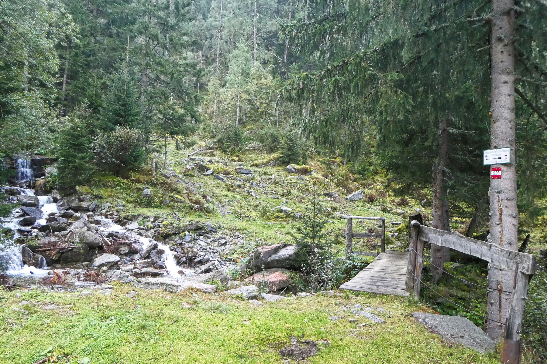Aufstiegsbeginn. Foto: Karl Plohovich