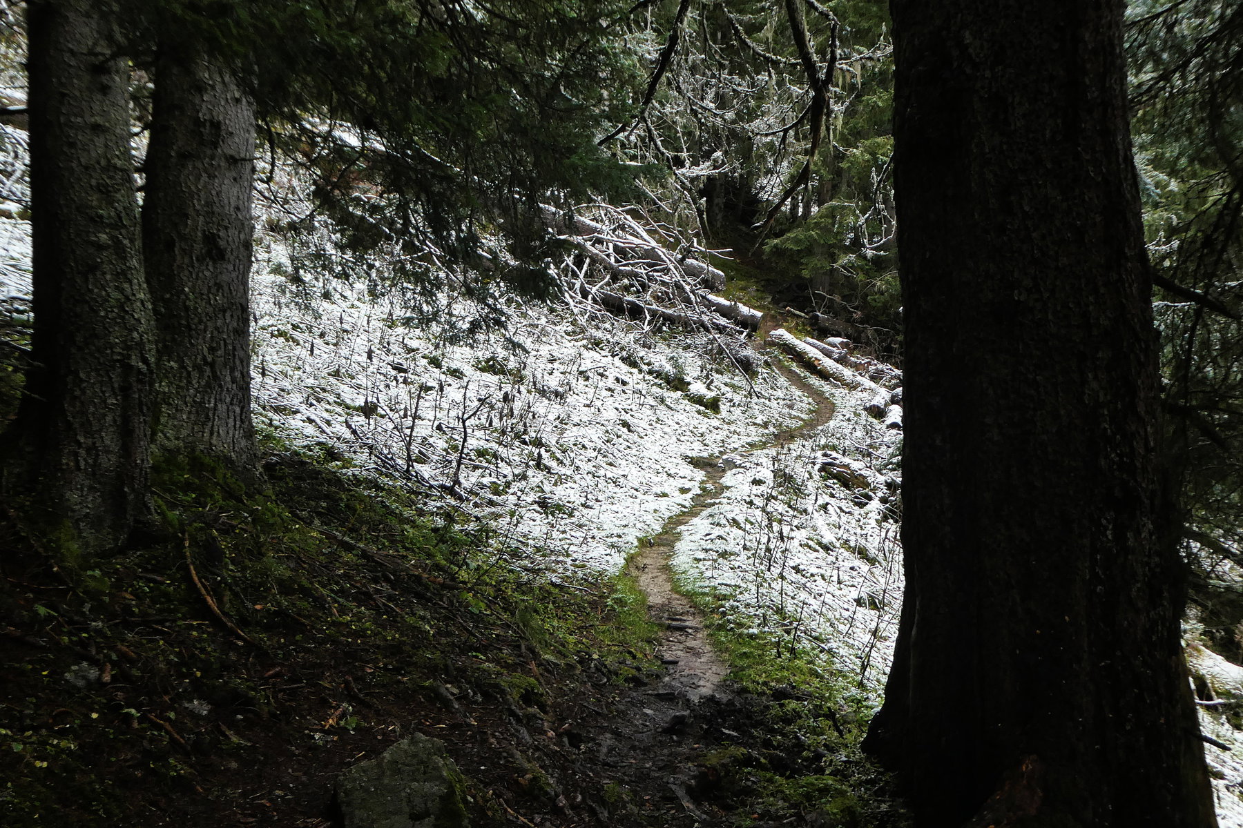 Adventwanderung. Foto: Karl Plohovich