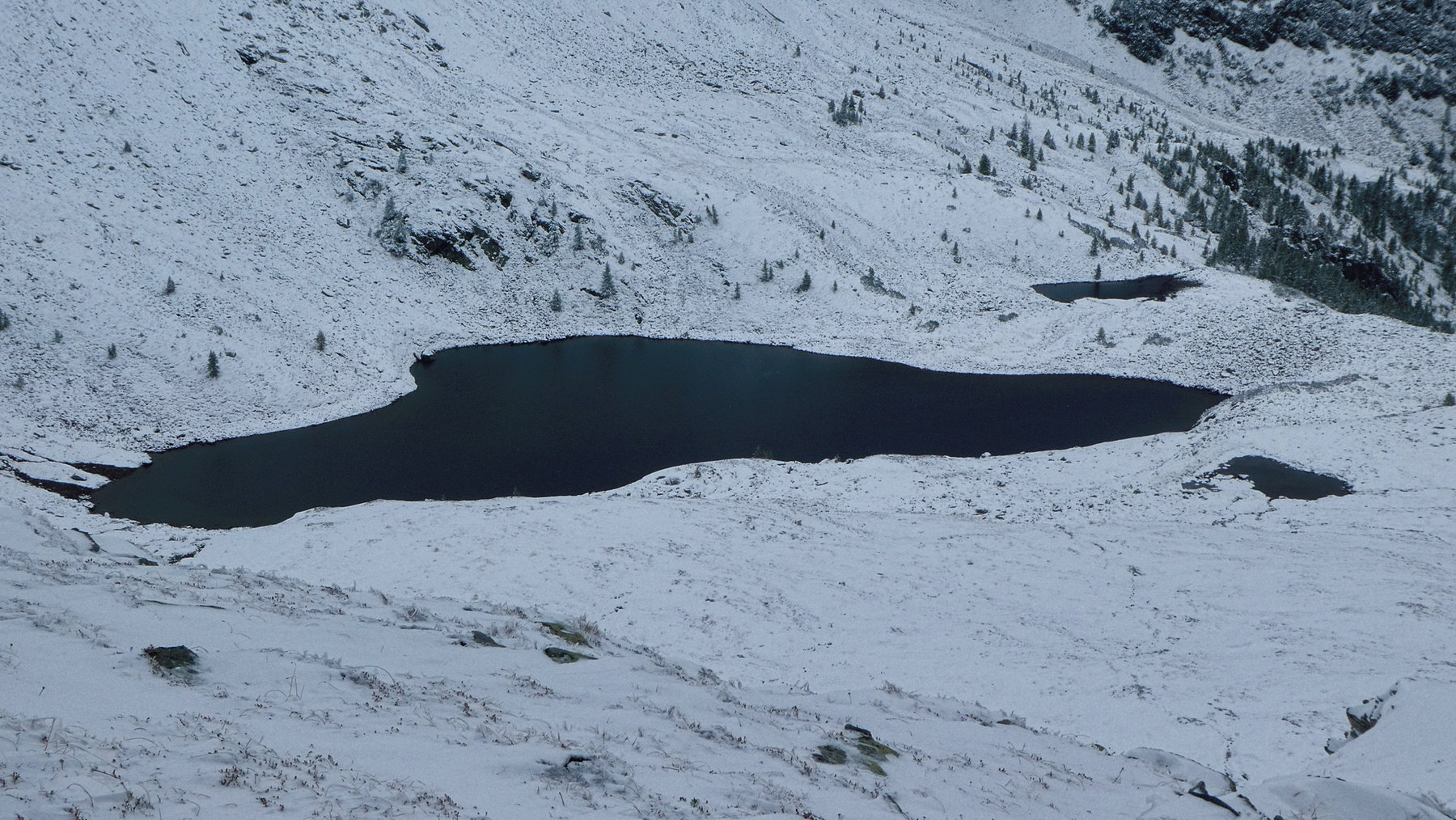 Palfner See mit Umlautpünktchen. Foto: Karl Plohovich