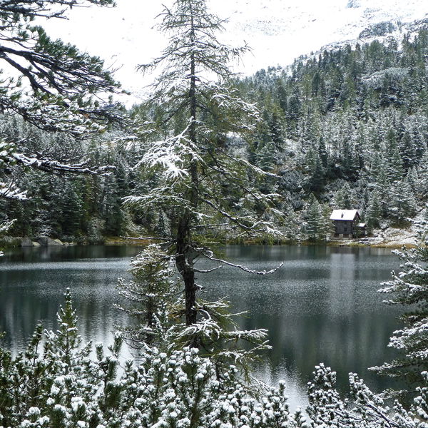 Palfnerscharte – Reedsee