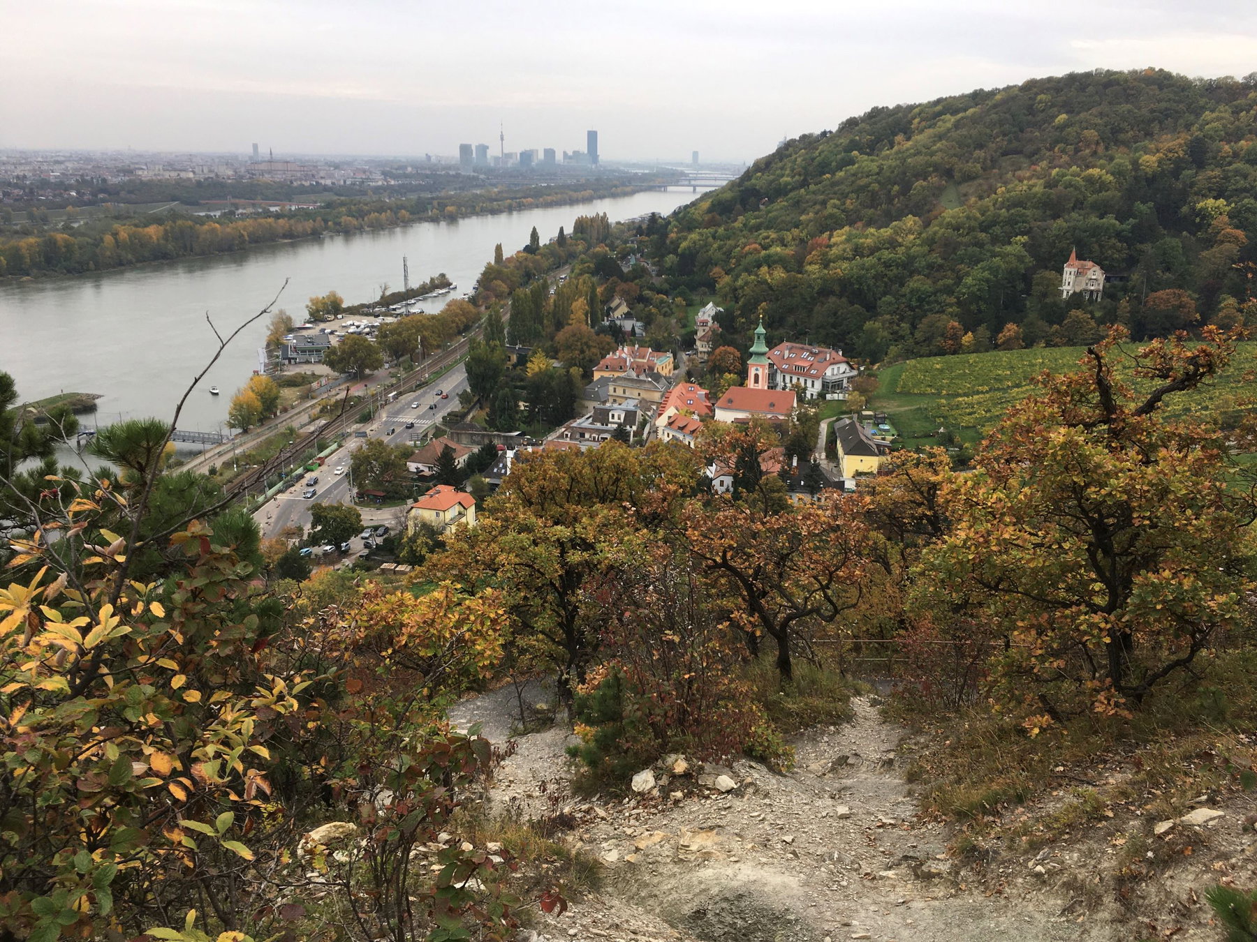 Wienerwald, immer der Nase nach