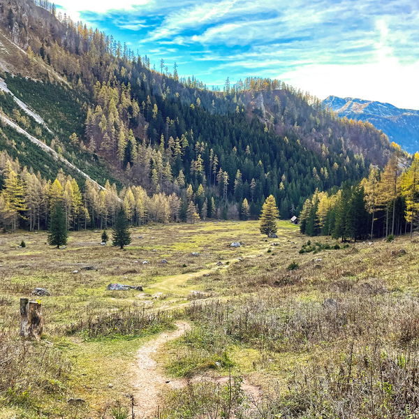 Auf zur Gowilalm – mit Bahn, Bus und Wanderlust