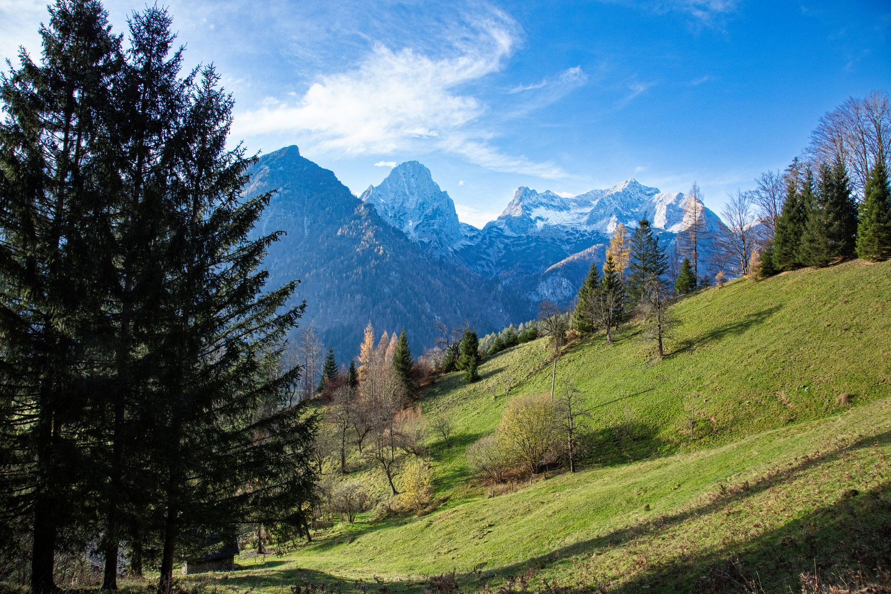 Vom Schiederweiher auf den Stodertaler Höhenweg