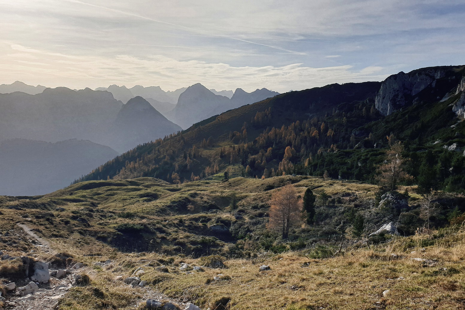 Foto: Markus Büchler