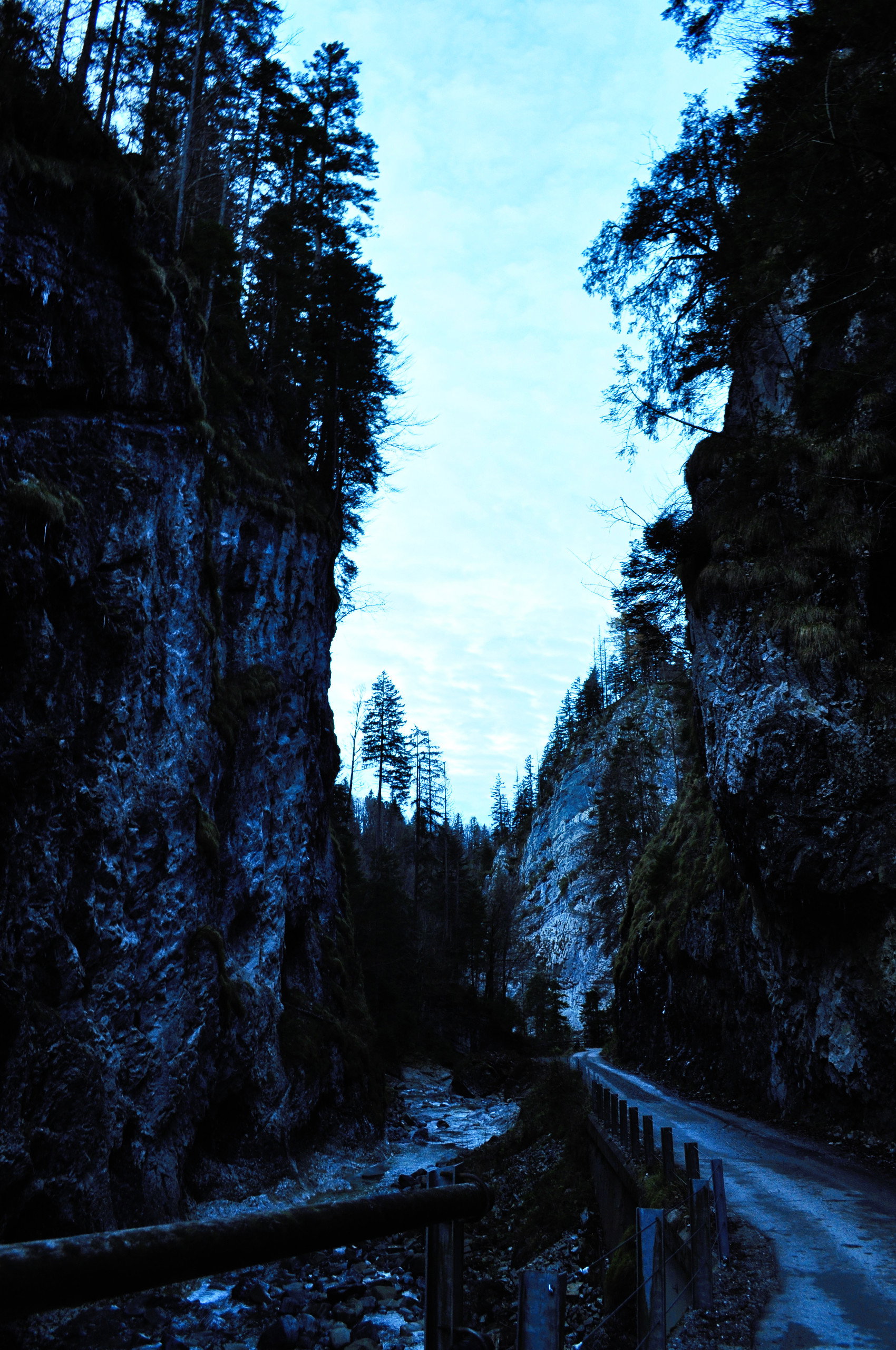 Auf dem Weg zu Bushaltestelle durch das enge Tals des Kobelbach. Foto: Norman und Lisa