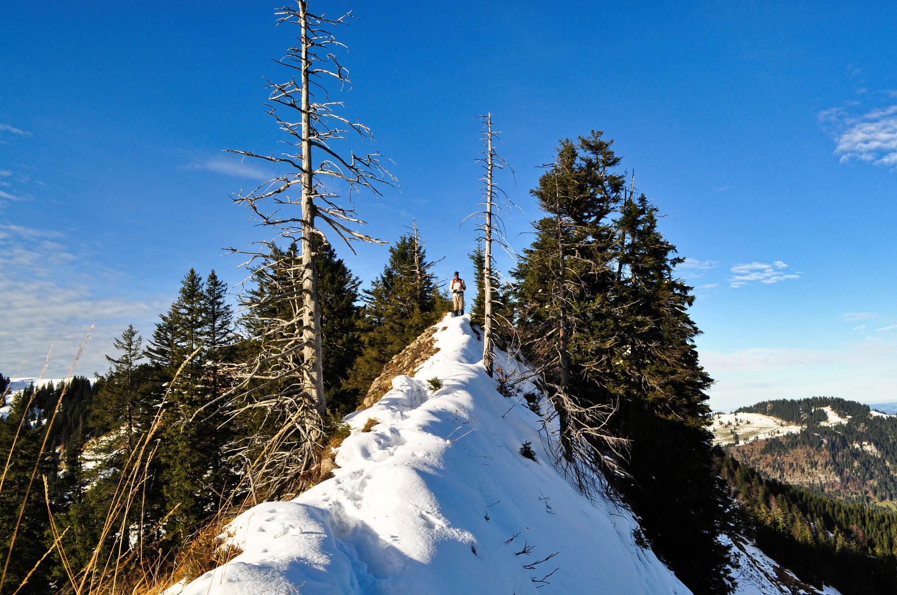 Enger Grat zwischen Vorderhörnle und Hörnle. Foto: Norman und Lisa