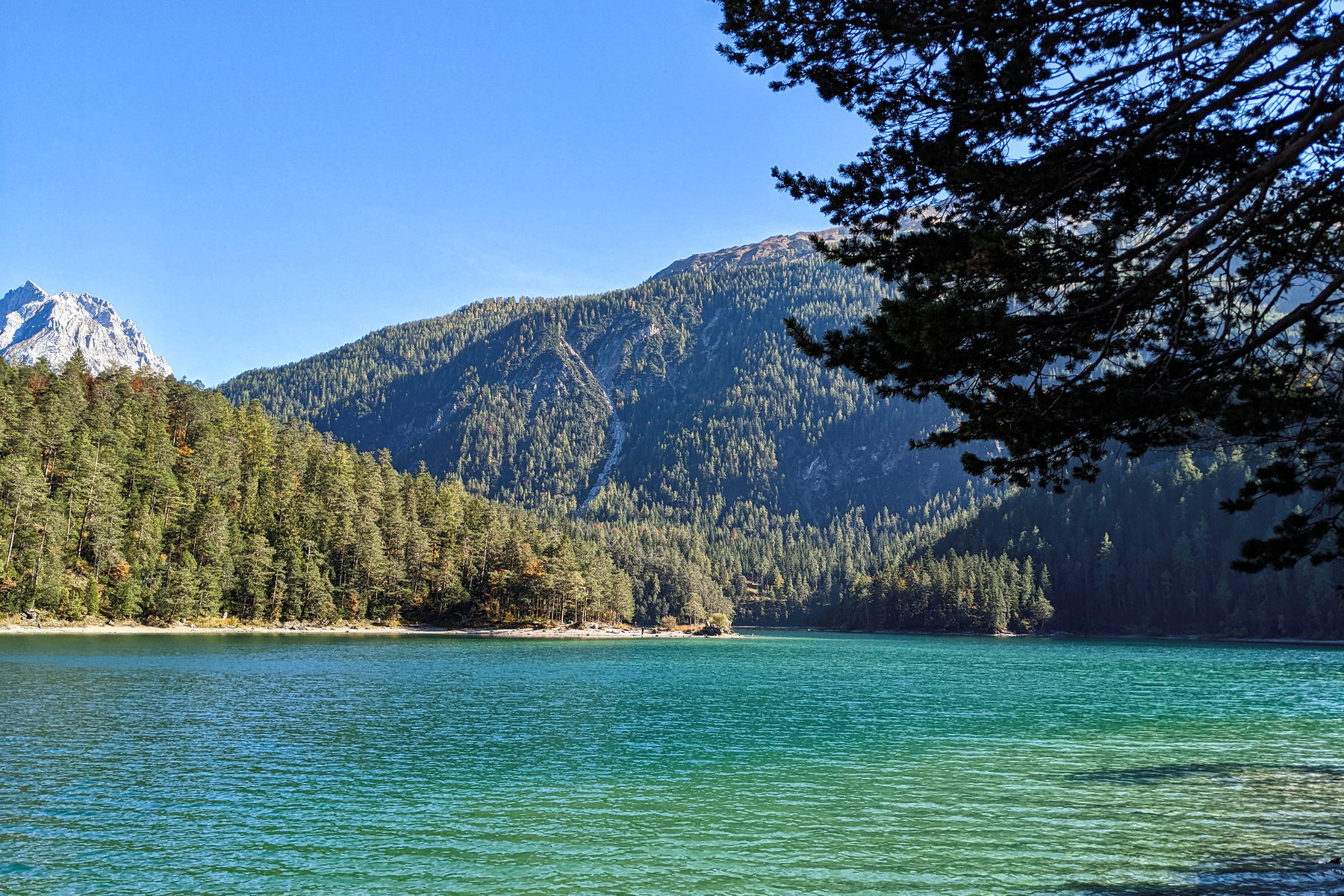 Blindsee