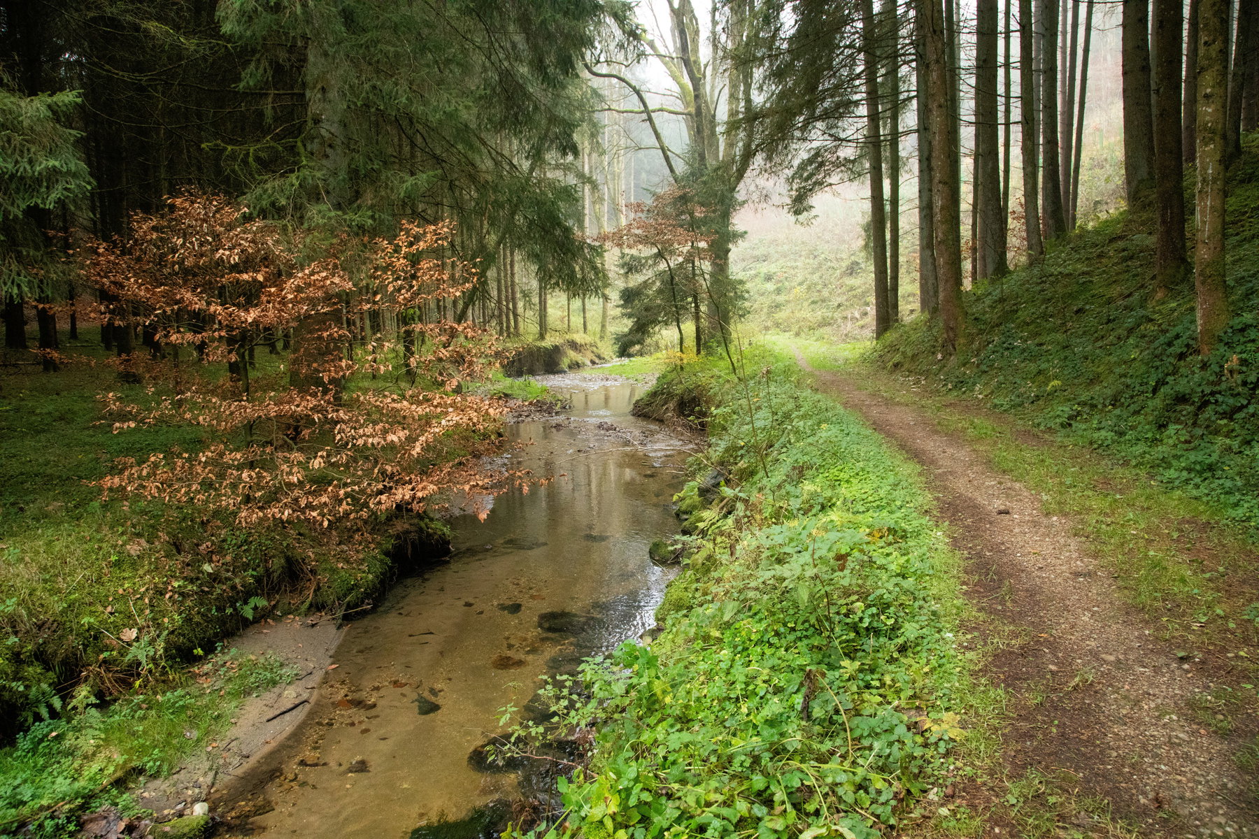 Von Bach zu Bach und Burg zu Schloss