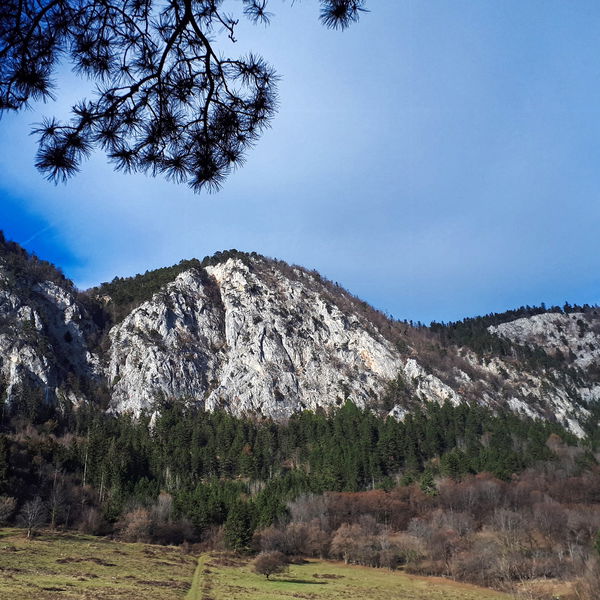 Ein Hupfer auf die Hohe Wand