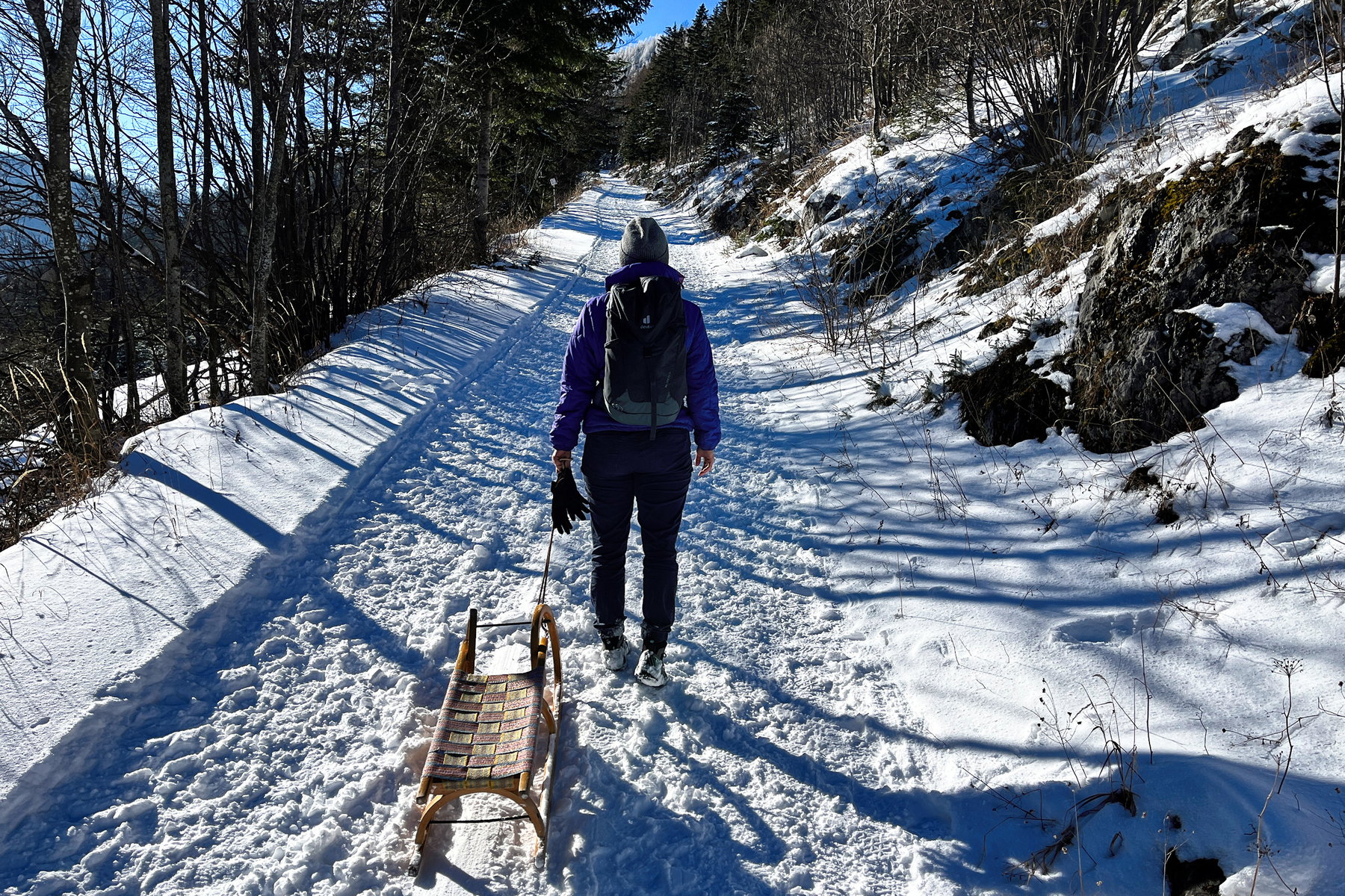 Ein Rodelspaziergang am Schneeberg