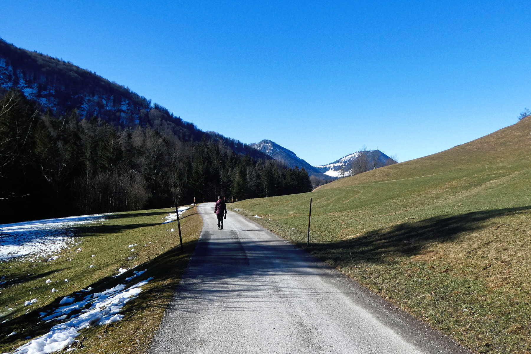 Vorfrühling. Foto: Karl Plohovich