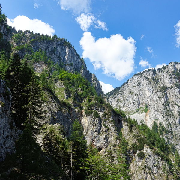 Alpenvereinssteig